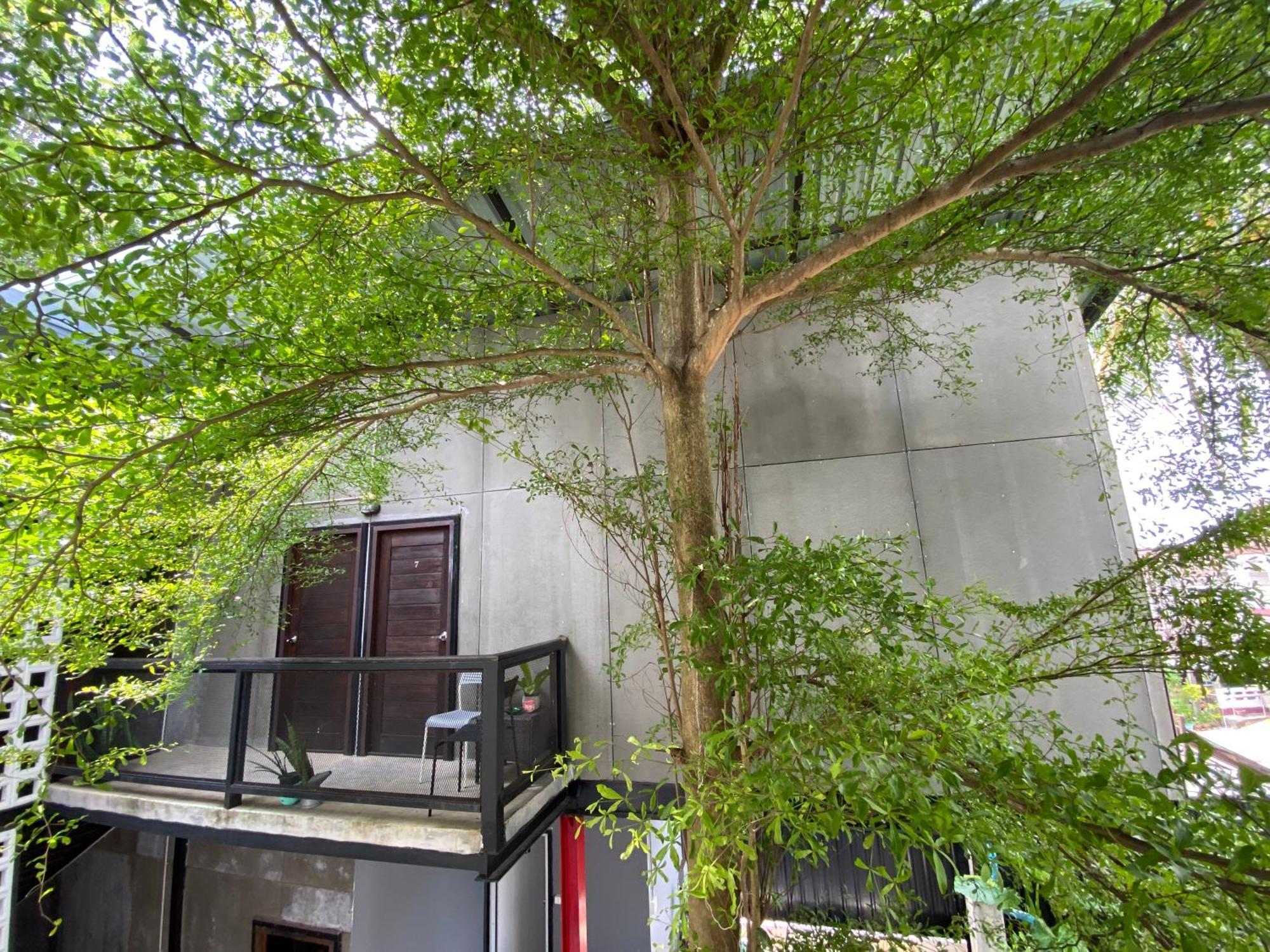 นกฮูก เฮาส์ Hostel ตรัง ภายนอก รูปภาพ